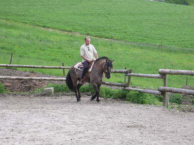 Andalusier Reiten Reiterhof Habereder