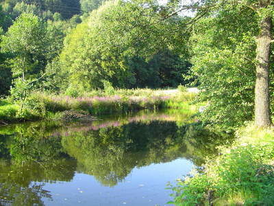 Landschaft Reiterhof Habereder