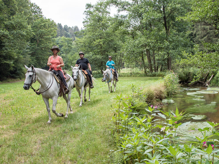 Ausreiten in Schöllnach