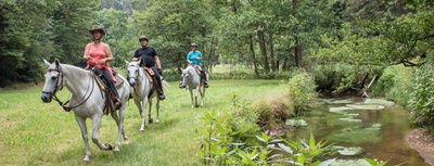 Ausreiten in Schöllnach