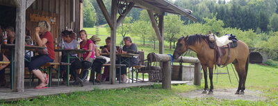 Ausreiten in Schöllnach