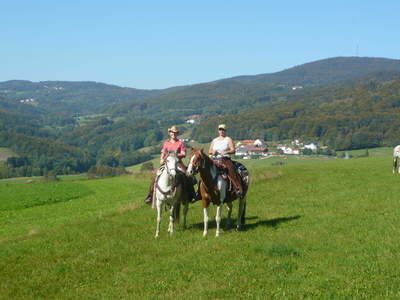 Ausreiten mit Andalusiern Reiterhof Habereder