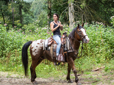 Ausritt durch den Wald Reiterhof Habereder