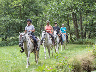 Ausreiten im Bayerischen Wald