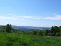 sommer-bayerischer-wald