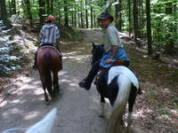 Wanderreiten in Bayern