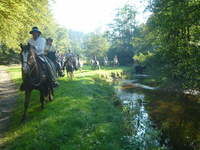 Reiten in Deutschland