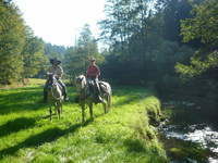 Reiten in Bayern