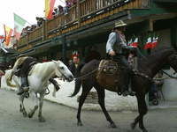 Westernreiten in Bayern