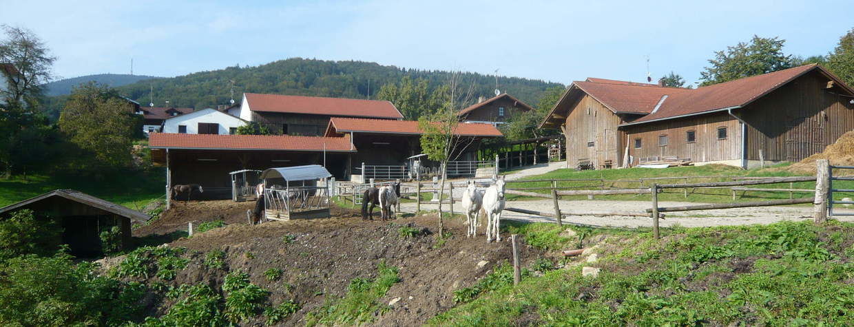 Reiterhof Habereder
