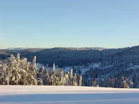 winter-bayerischer-wald