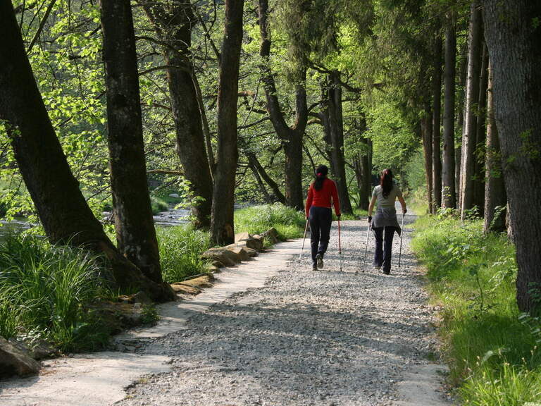 Nordic Walkin Schöllnach