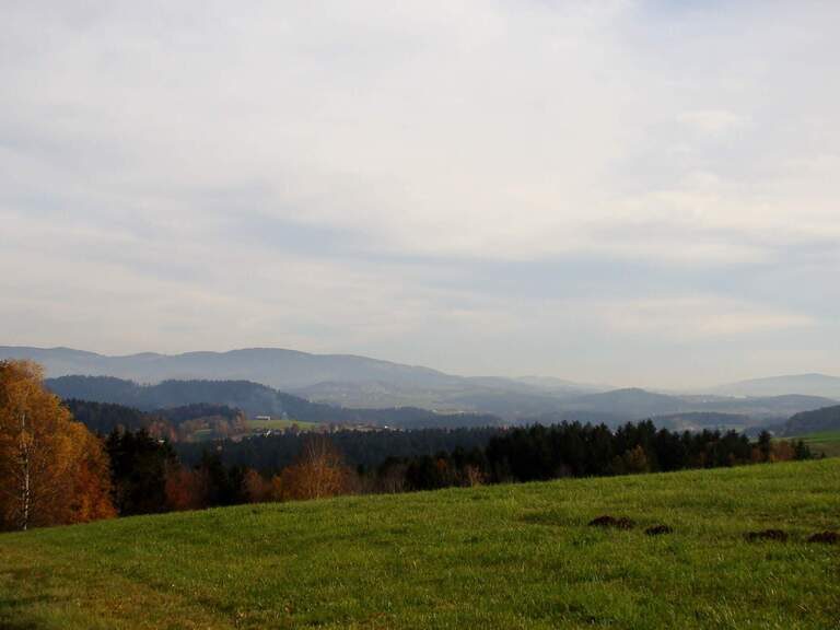Landschaft Sonnenwaldregion