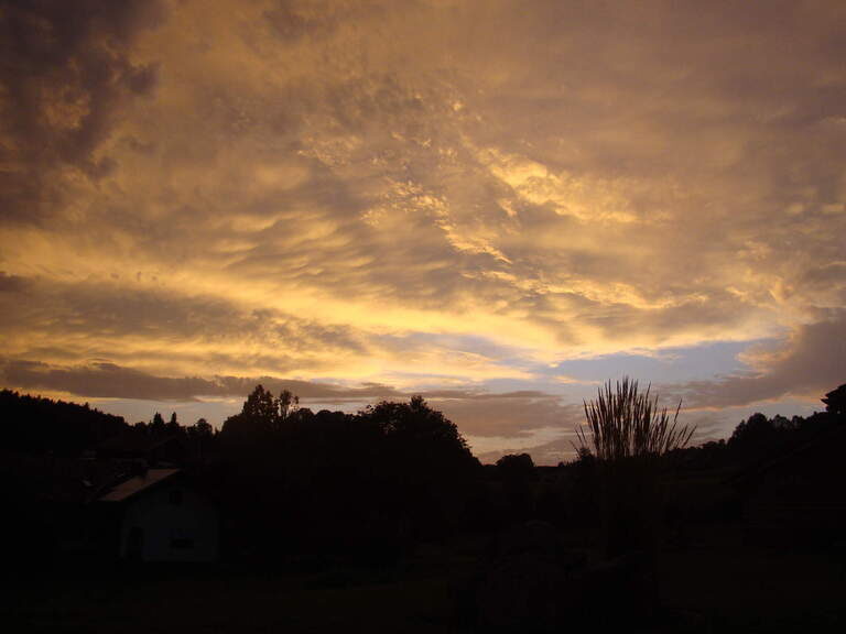 Natur in Schöllnach