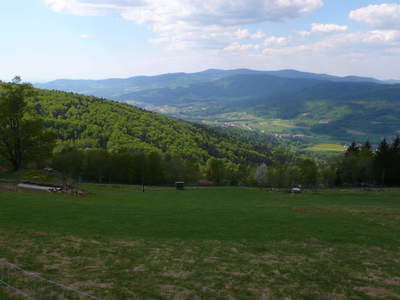 landschaft-sonnenwaldregion