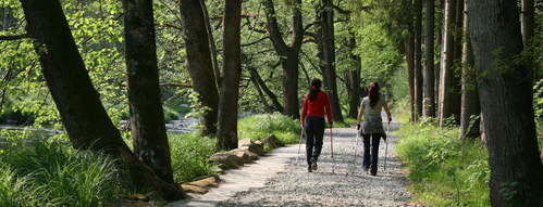 Nordic Walkin Schöllnach