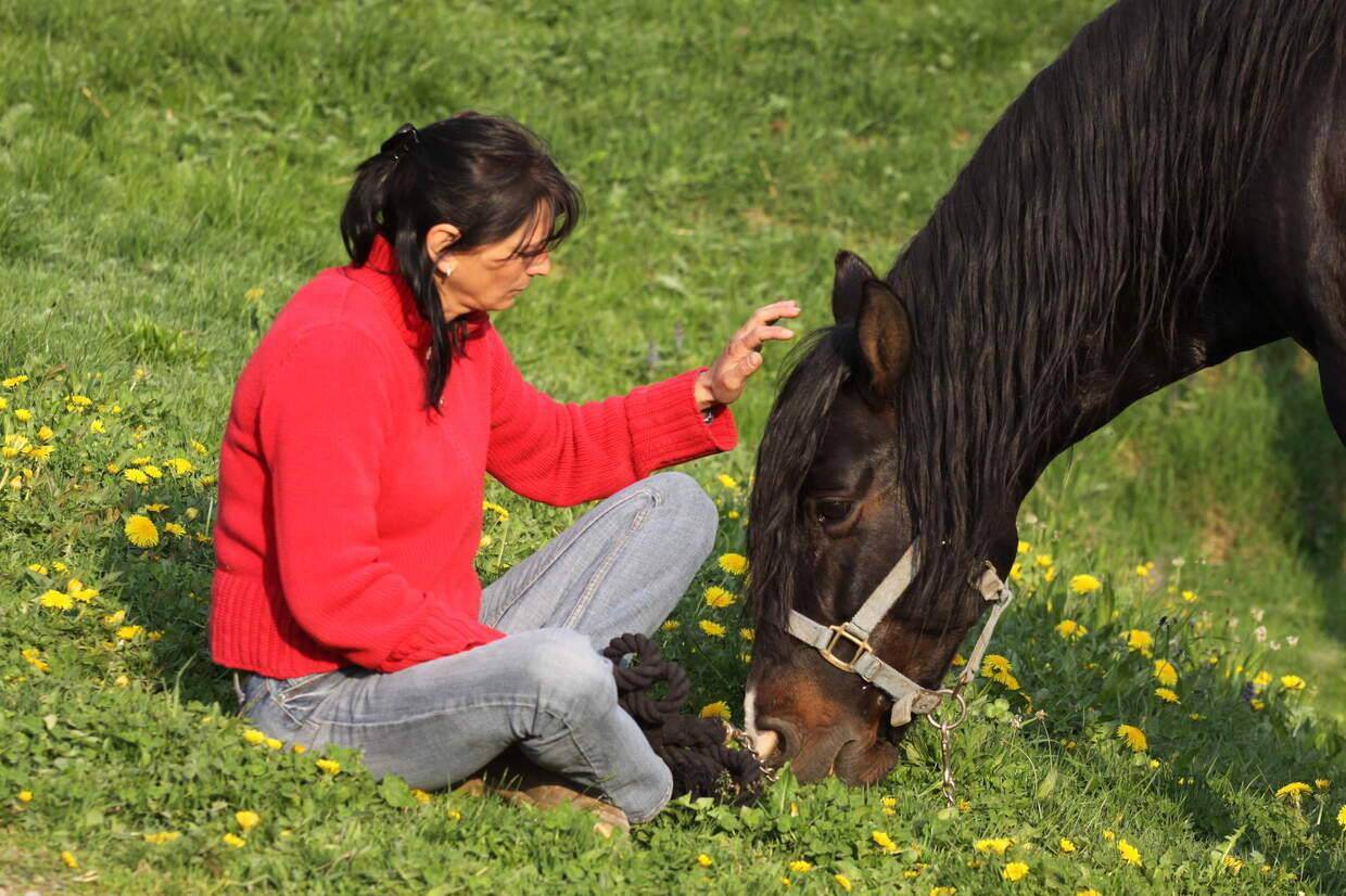 Auf dem Reiterhof Habereder mit Pferden entspannen Mit Pferden entspannen