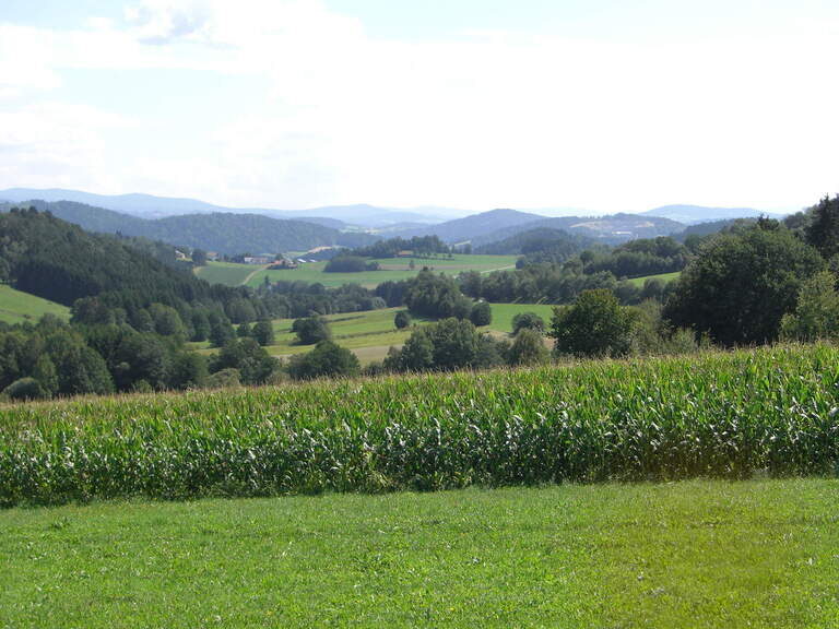 Felder um Reiterhof Habereder