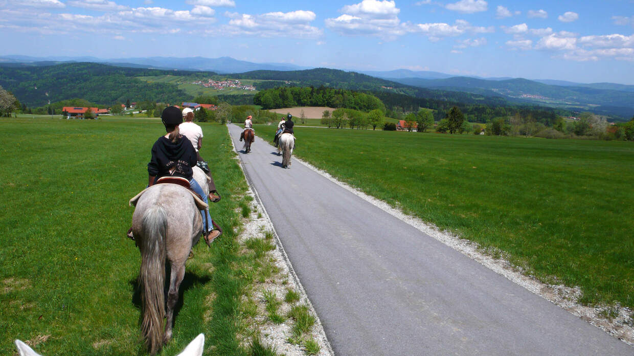 Freizeitreiten Reiterhof Habereder