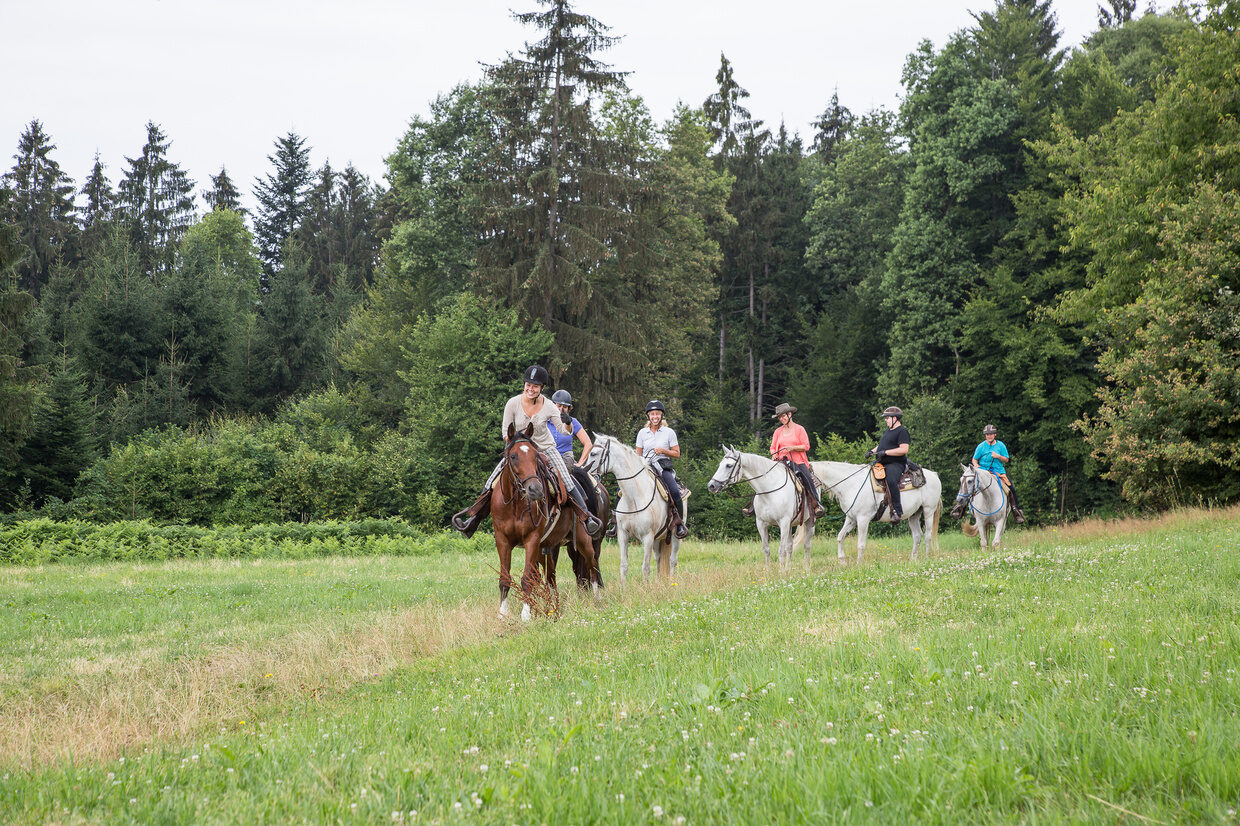 Gl&uuml;ckliche Reiter nach Ausritt