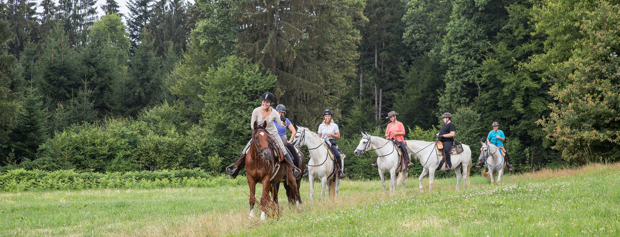 Glückliche Reiter im Wald