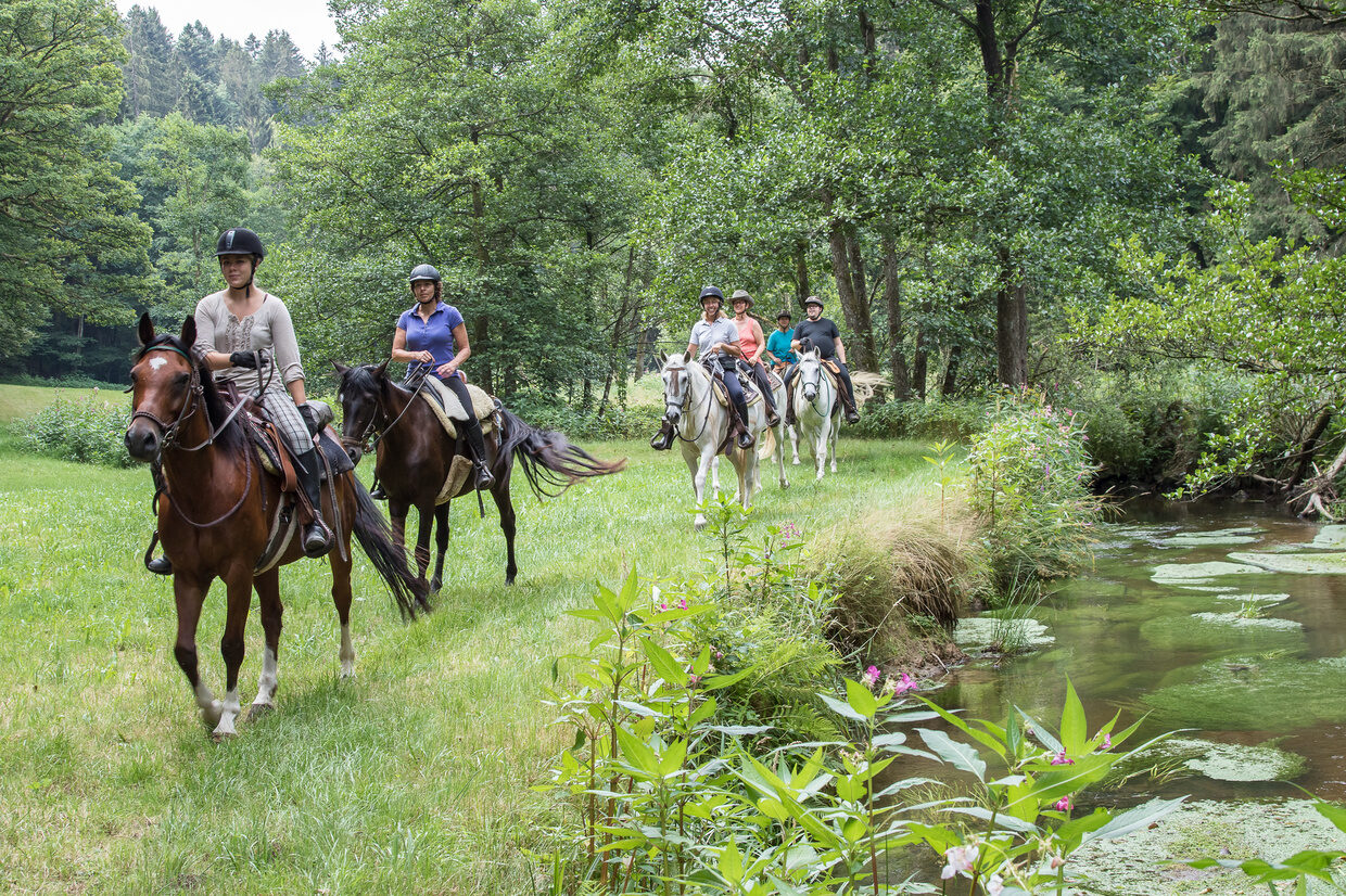 Ausreiten in toller Umgebung