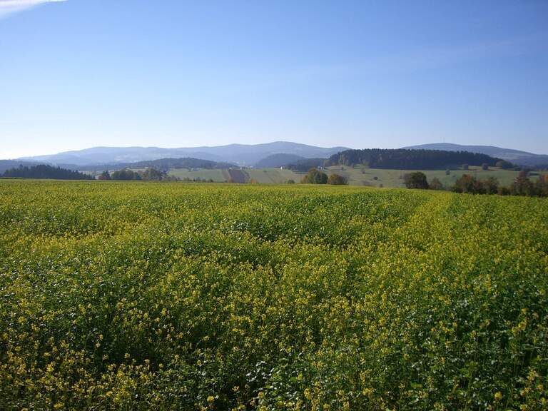 Landschaft um Reiterhof Habereder