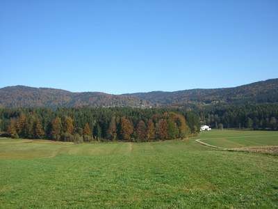 Landschaft Reiterhof Habereder Sonnenwaldregion