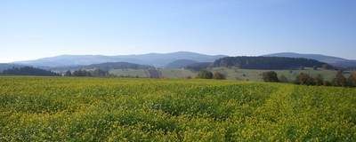 Landschaft um Reiterhof Habereder