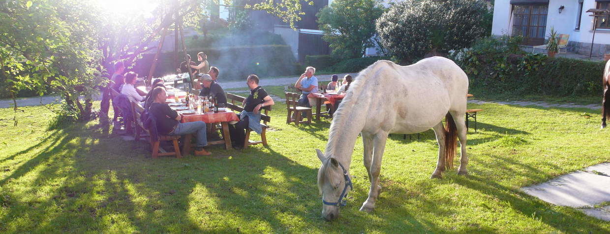 Pferde im Garten Reiterhof Habereder