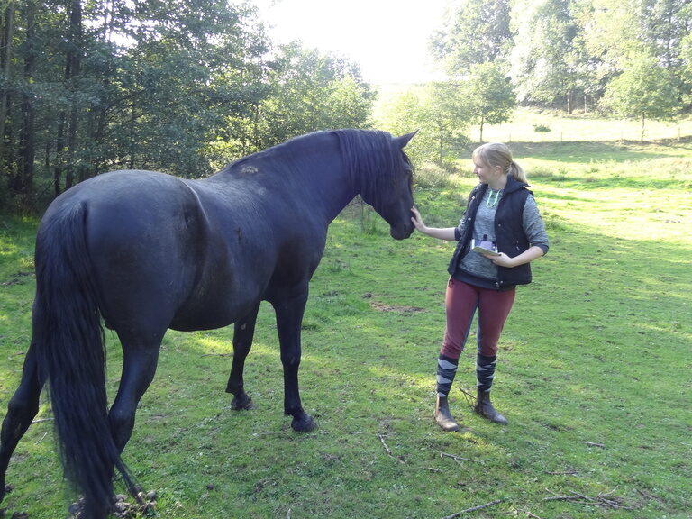 Kuschelzeit für Pferd und Mensch