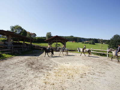 Reitplatz Pferdehof Reiterhof Habereder