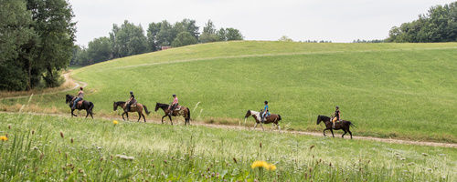 Kolonne durch den Wald