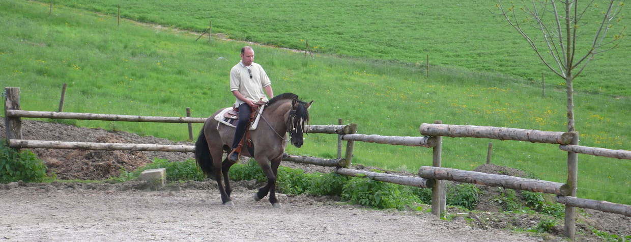 Reiten auf Andalusiern am Reiterhof Habereder