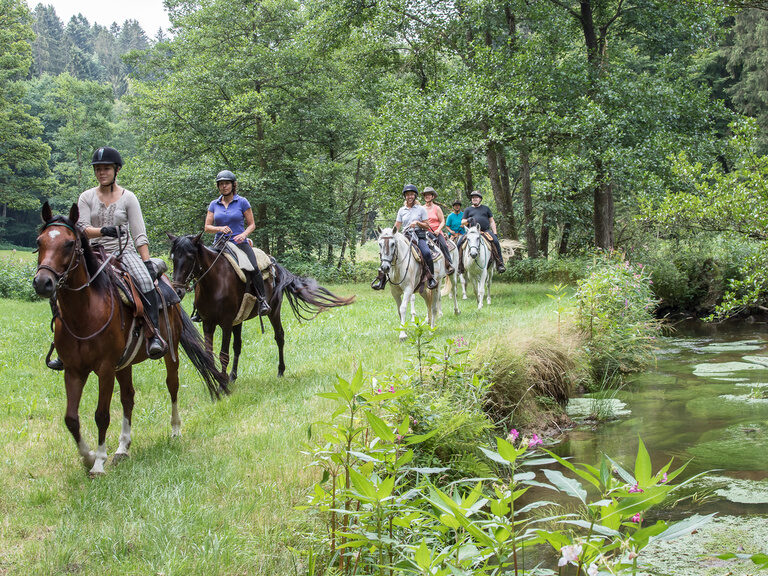 Gelände Reiten im Bayerischen Wald Reiterhof Habereder