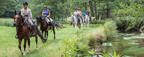 Gelände Reiten im Bayerischen Wald Reiterhof Habereder