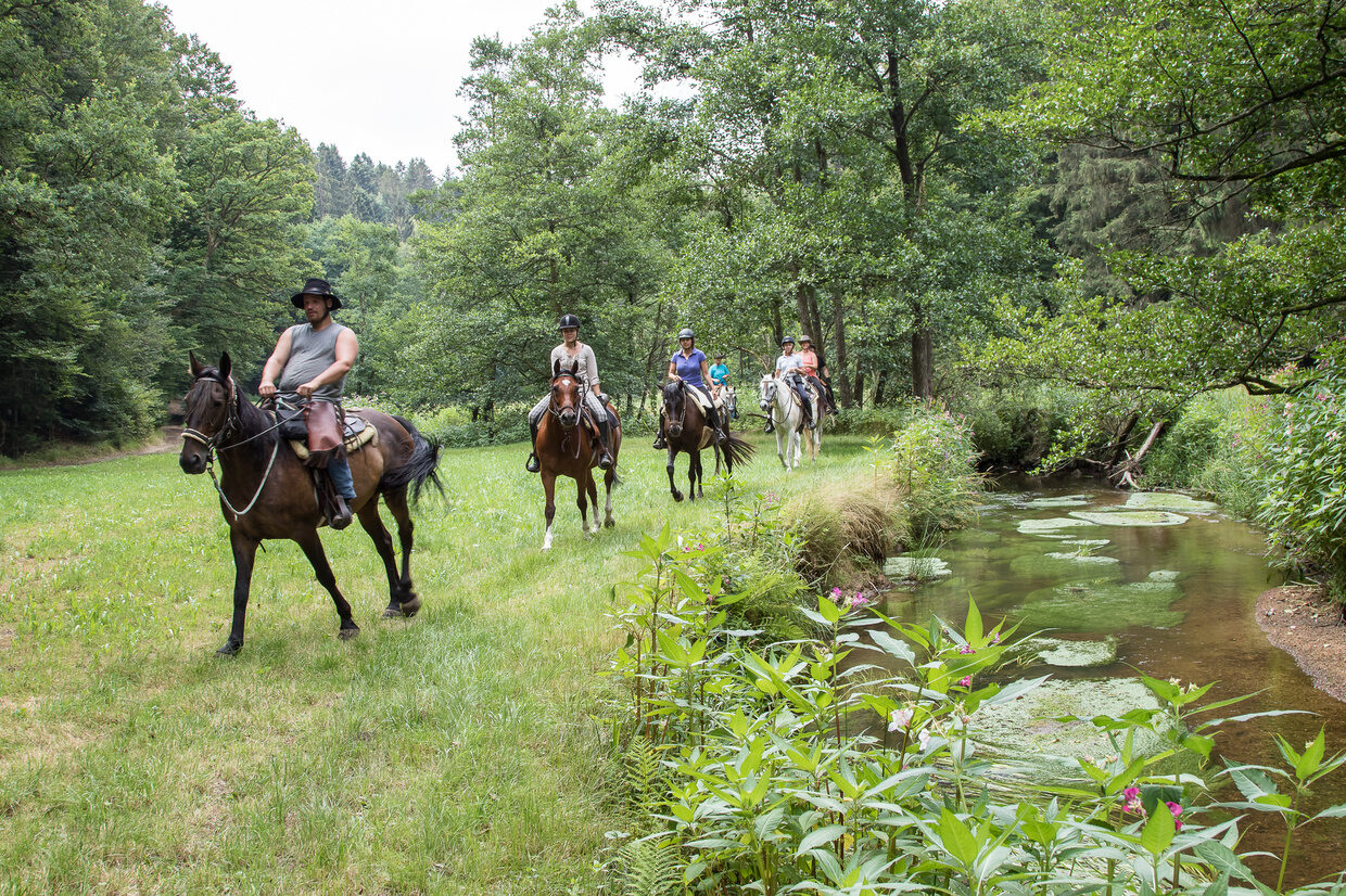 Reiten durch Landschaft Reiterhof Habereder