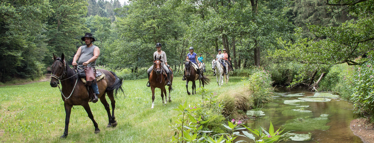 Reiten durch Landschaft Reiterhof Habereder