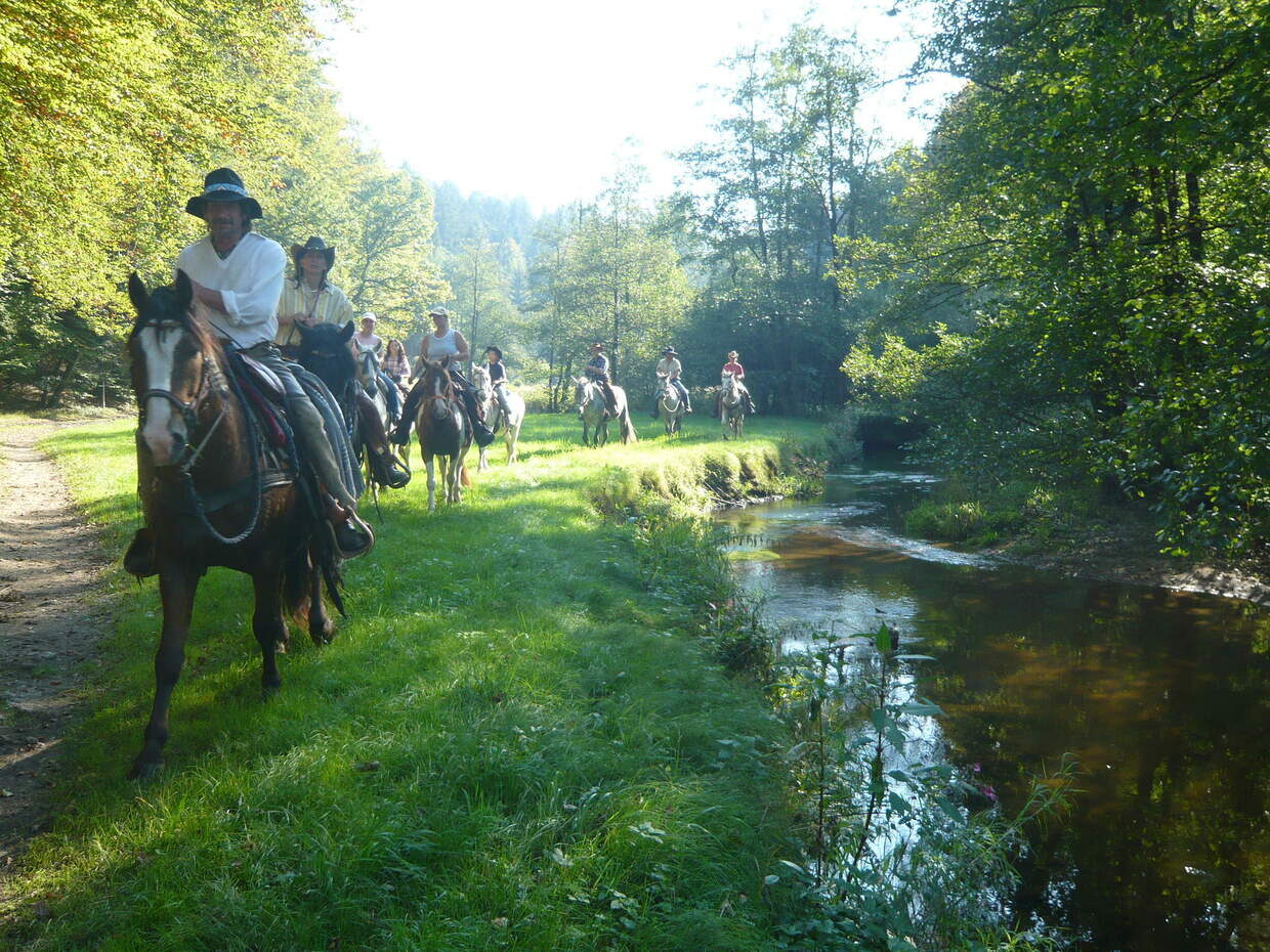 Reiten Reiterhof Habereder Sch&ouml;llnach