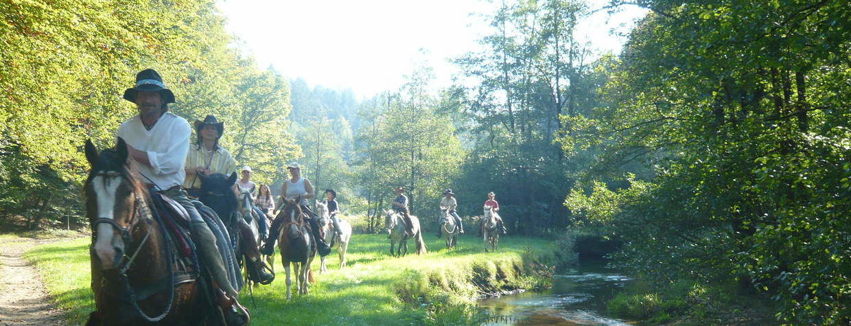 Reiten Reiterhof Habereder Schöllnach