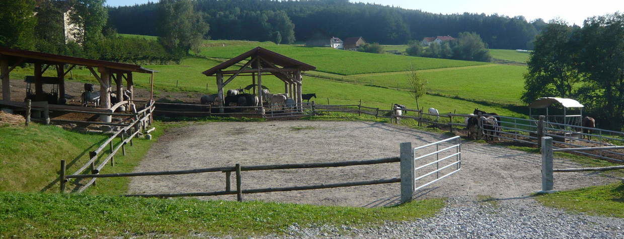 Eingang Reitplatz Reiterhof Habereder