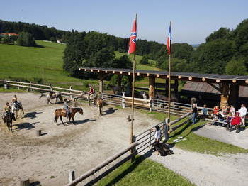 Reitplatz Vogelperspektive