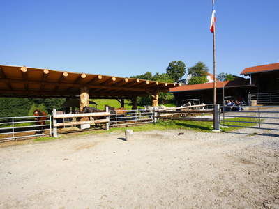 Reitplatz Innen Reiterhof Habereder