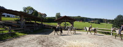 Reitstunden am Reitplatz