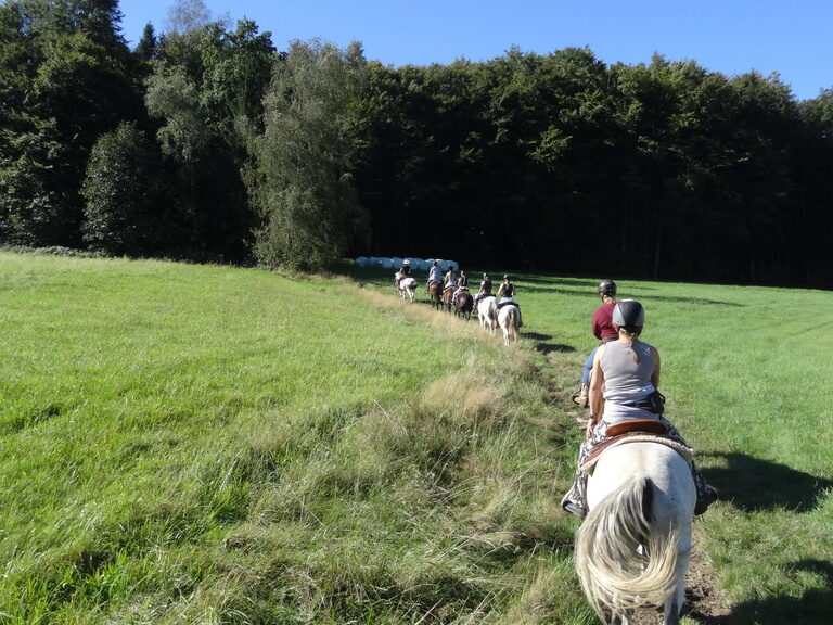 Reitstunden am Reitplatz