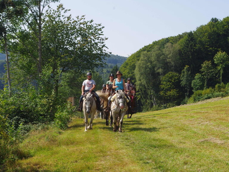 Reitstunden am Reitplatz