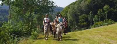 Reitstunden am Reitplatz