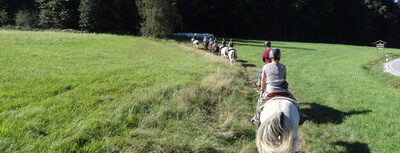 Reitstunden am Reitplatz