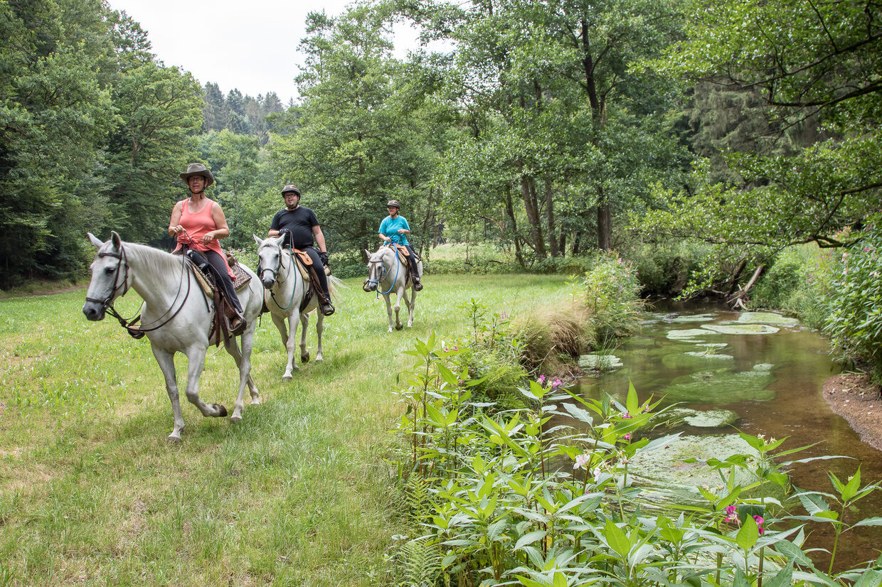 Reittour Reiterhof Habereder