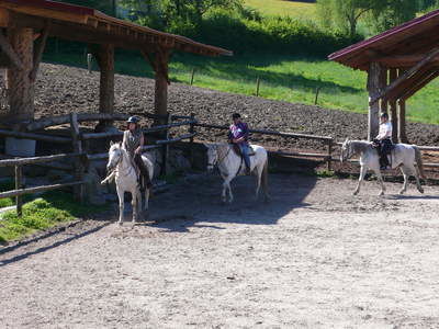 Reitunterricht Reiterhof Habereder